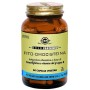Solgar Phyto-Homocystéine 60 gélules végétales