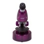 Microscop Levenhuk LabZZ M101