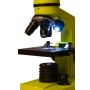 Microscop Levenhuk Rainbow 2L