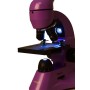 Microscop Levenhuk Rainbow 50L