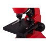 Microscop Levenhuk Rainbow 50L