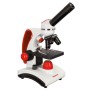 Microscoape Levenhuk Discovery Pico