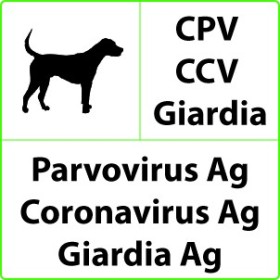CPV+CCV+Giardia Test rapide vétérinaire pour le parvovirus, le coronavirus, Giardia - 10 tests
