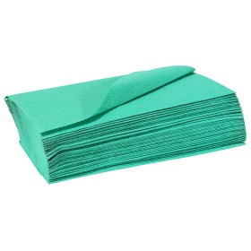 Disposable sheet 100x240 cm in TNT - 10 pcs.