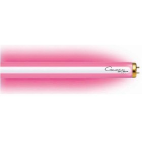 15W Collagen Tubes - 12 replacement tubes for Collagen Light Box