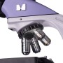 Microscopio biologico digitale MAGUS Bio D250TL
