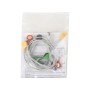 Cavo derivazioni ecg - 10 elettrodi a bottone - ricambio per 54300 - 1 pz.