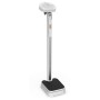 Professional digital column scale