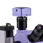 Microscopio stereoscopico digitale MAGUS Stereo D7T BASE