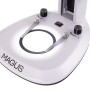 Microscopio stereoscopico digitale MAGUS Stereo D7T BASE
