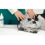 STIMVET 2000  Globus -  Elettrostimolatore muscolare e antalgico per veterinaria