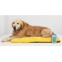 Magnetoterapia Veterinaria Globus Magnetovet 200 con cuccia