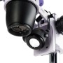 Microscopio stereoscopico digitale MAGUS Stereo D8T LCD BASE