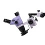 Microscopio stereoscopico MAGUS Stereo 8TR per riparazione elettronica